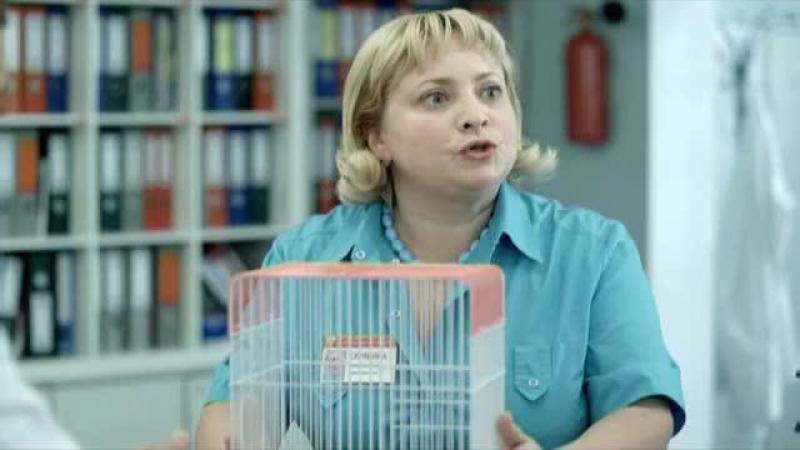 Кадры из сериала Интерны (2010)